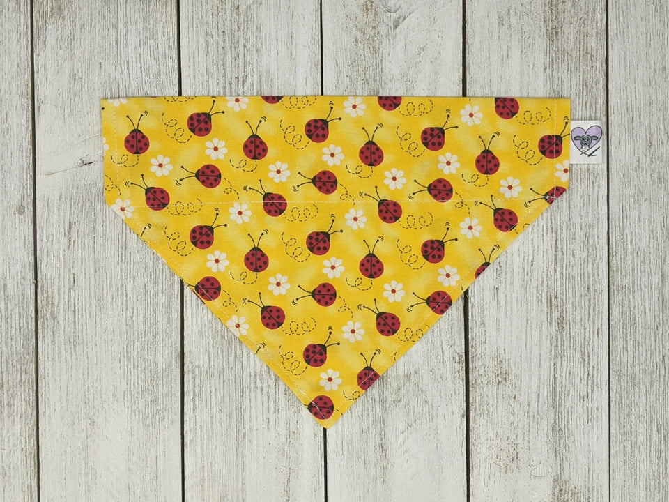 Halloween Dog Bandana Over Dog Collar, KITTY/1, view 59
