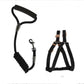 Ultimate Freedom Dog Leash & Chest Strap Set - Pets Perfect