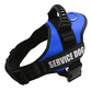 Explosafe Pet Leash: The Ultimate Safety Harness For Your Furry Friend - Pets Perfect