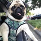 ADJUSTABLE HARNESS - NAPA - Pets Perfect
