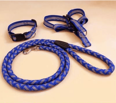 Ultimate Comfort Dog Leash - Pets Perfect