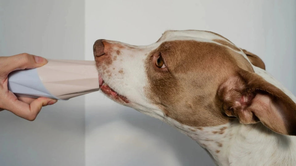 The Ubbe - Treat Filler Chew Dog Toy Made for Easy Cleaning - Pets Perfect