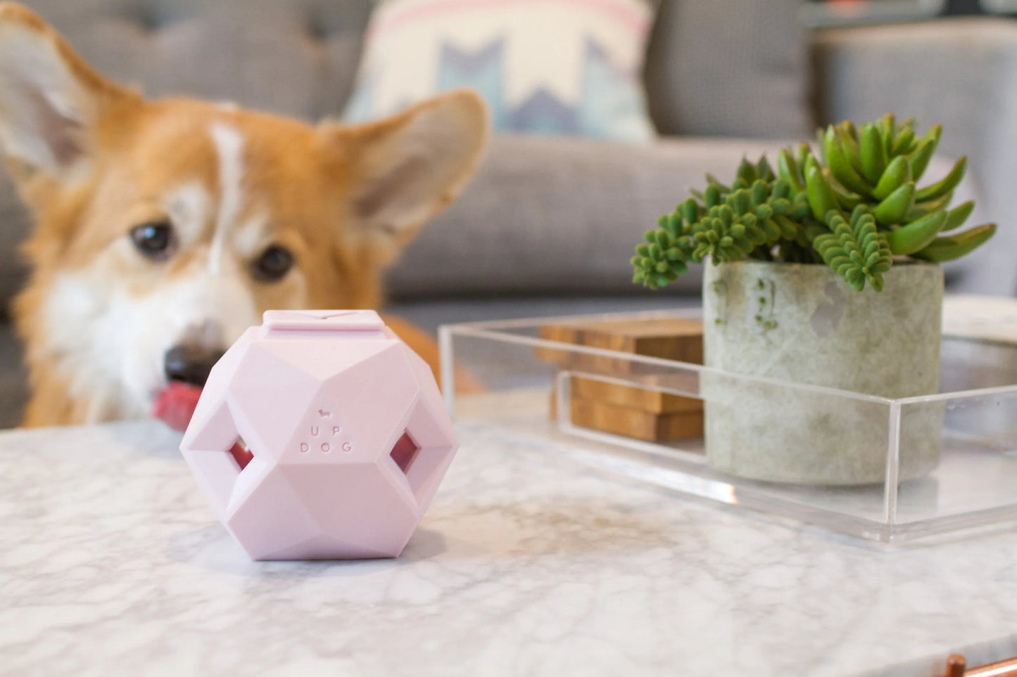 The Odin - Modern Treat Dispensing Dog Puzzle - Pets Perfect