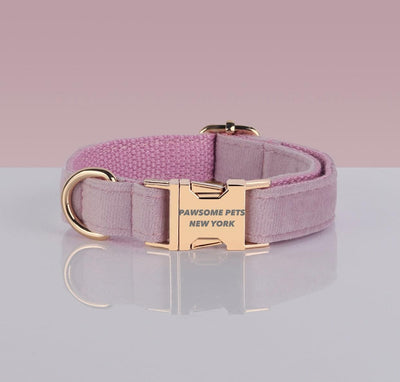 Adjustable Nylon Dog Collar - Quick-Release Buckle, XS