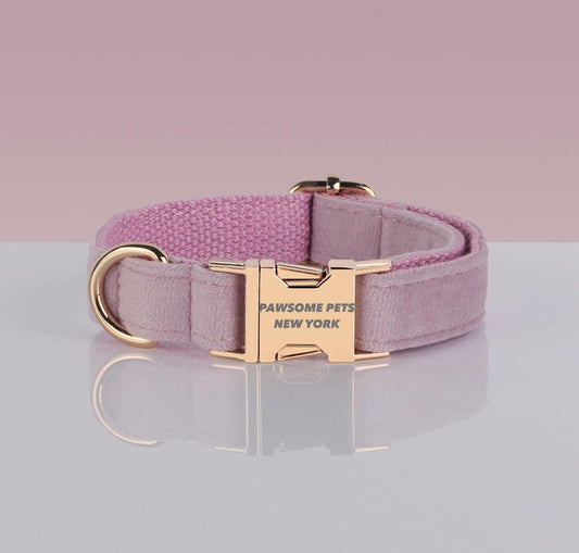 Adjustable Nylon Dog Collar - Quick-Release Buckle