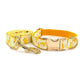 Patterned Dog Collar - Fruit Design with Metal Buckle - Pets Perfect
