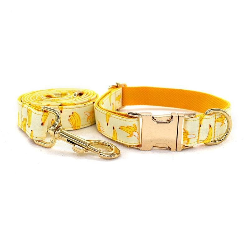 Patterned Dog Collar - Fruit Design with Metal Buckle - Pets Perfect