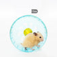 Silent Hamster Exercise Wheel - Quiet Spin Design - Pets Perfect