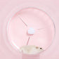 Ultra-Quiet Hamster Running Wheel Roller With Stand - The Perfect Toy For Your Furry Friend.