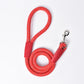 Small Dog Leash - Stylish And Durable Pet Traction Belt - Pets Perfect