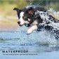 Ultimate Remote Control Dog Training Device - Pets Perfect