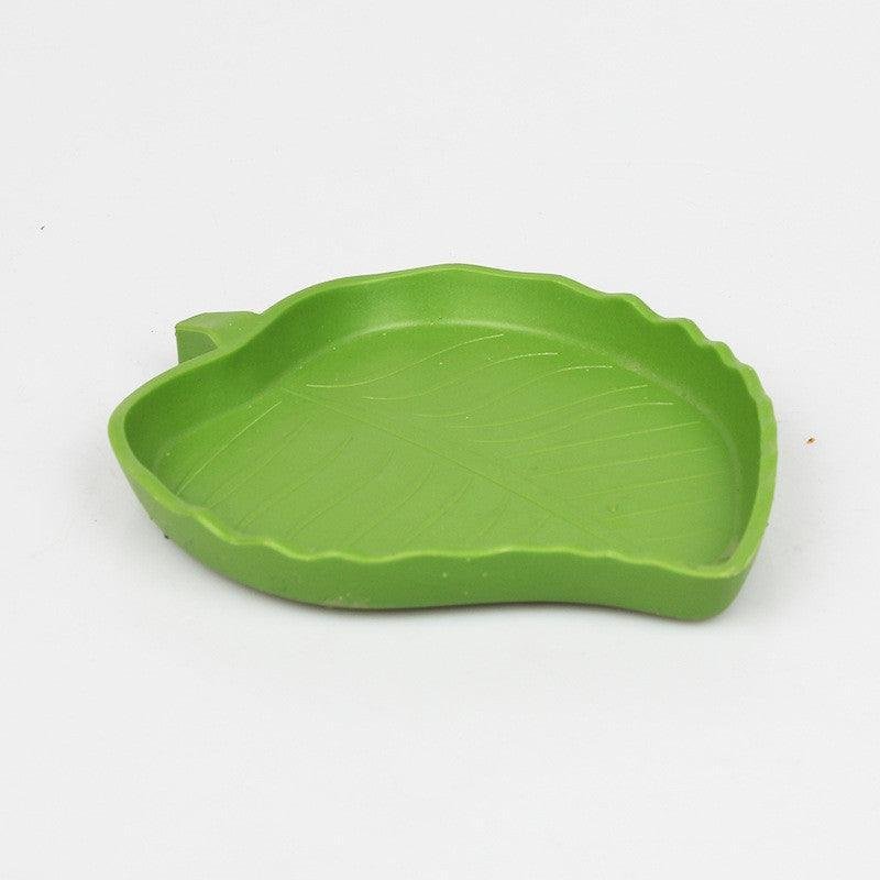 Leafy Reptile Feeding And Water Basin - Pets Perfect