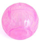 Hamster Rolling Exercise Ball 10cm Dual - Function - Pets Perfect