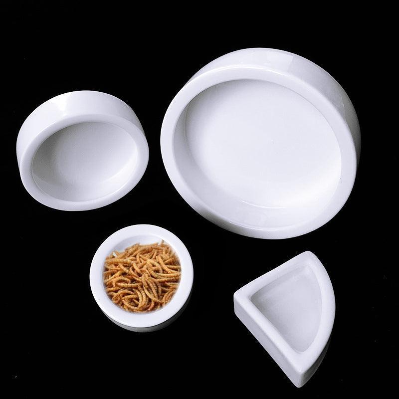 Durable Ceramic Reptile Food Bowl With Escape - Proof Design - Pets Perfect