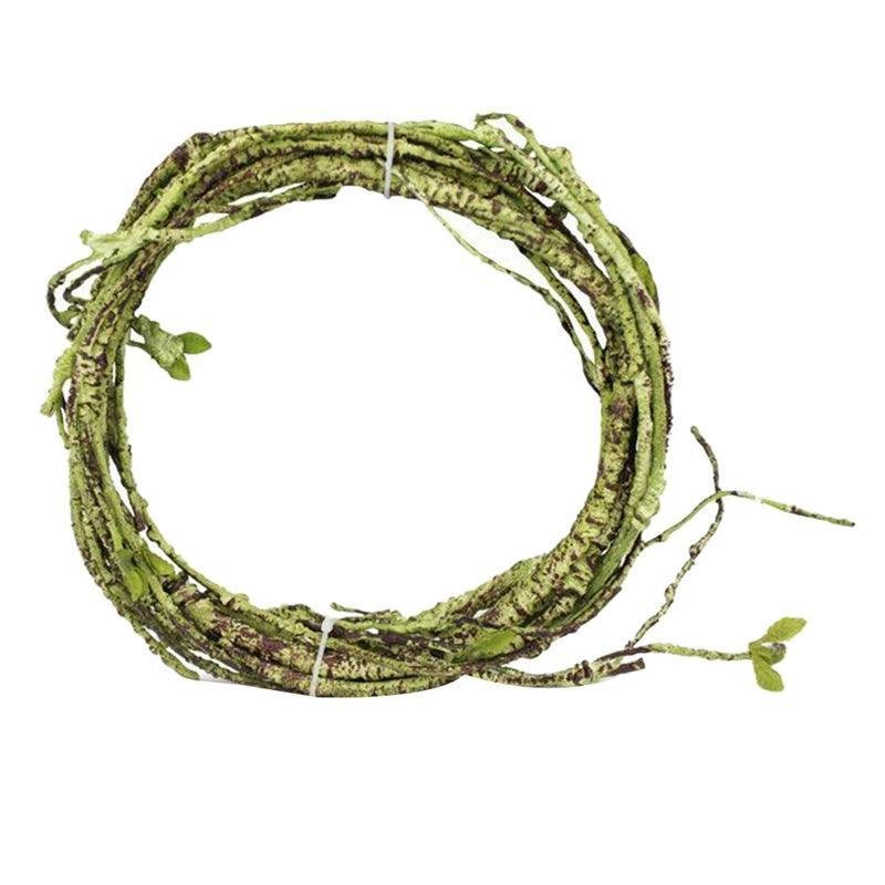 Tropical Rainforest Reptile Habitat Kit - Pets Perfect