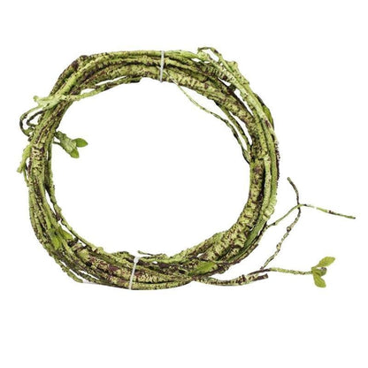 Tropical Rainforest Reptile Habitat Kit - Pets Perfect