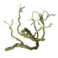 Tropical Rainforest Reptile Habitat Kit - Pets Perfect