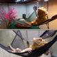 Luxury Reptile Retreat: Premium Dual Hammock Set For Lizards And Snakes - Pets Perfect