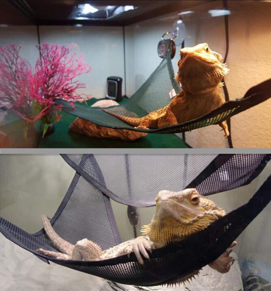 Luxury Reptile Retreat: Premium Dual Hammock Set For Lizards And Snakes - Pets Perfect