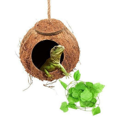 Reptile Adventure Set: Coconut Nest And Vine Climbing Kit - Pets Perfect