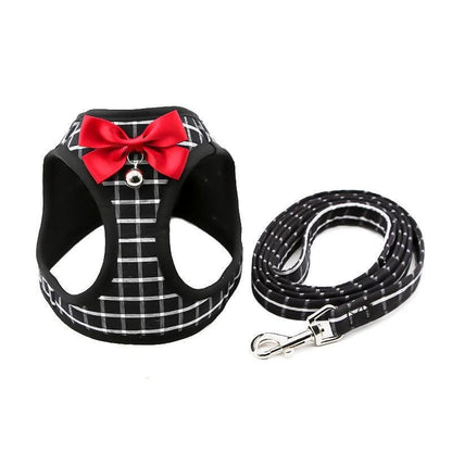 Grid Pattern Cat Chain Traction Rope Set With Chest Harness And Collar - Pets Perfect
