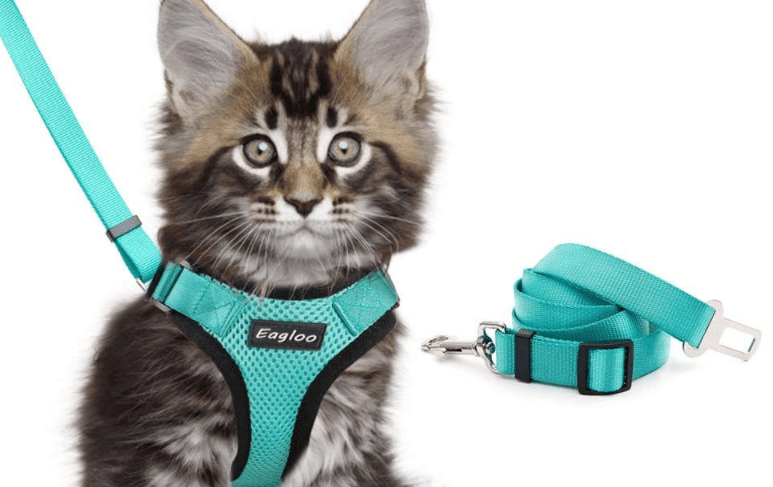 Escapeguard Cat Vest Harness And Car Seat Belt Adapter - Adjustable, Reflective, And Escape - Proof Harness For Cats And Small Dogs - Pets Perfect