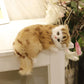 Sleeping Cat Plush Toy Set With Bow Tie And Bell - Realistic Cat Doll For Kids' Gift And Home Decor - Pets Perfect
