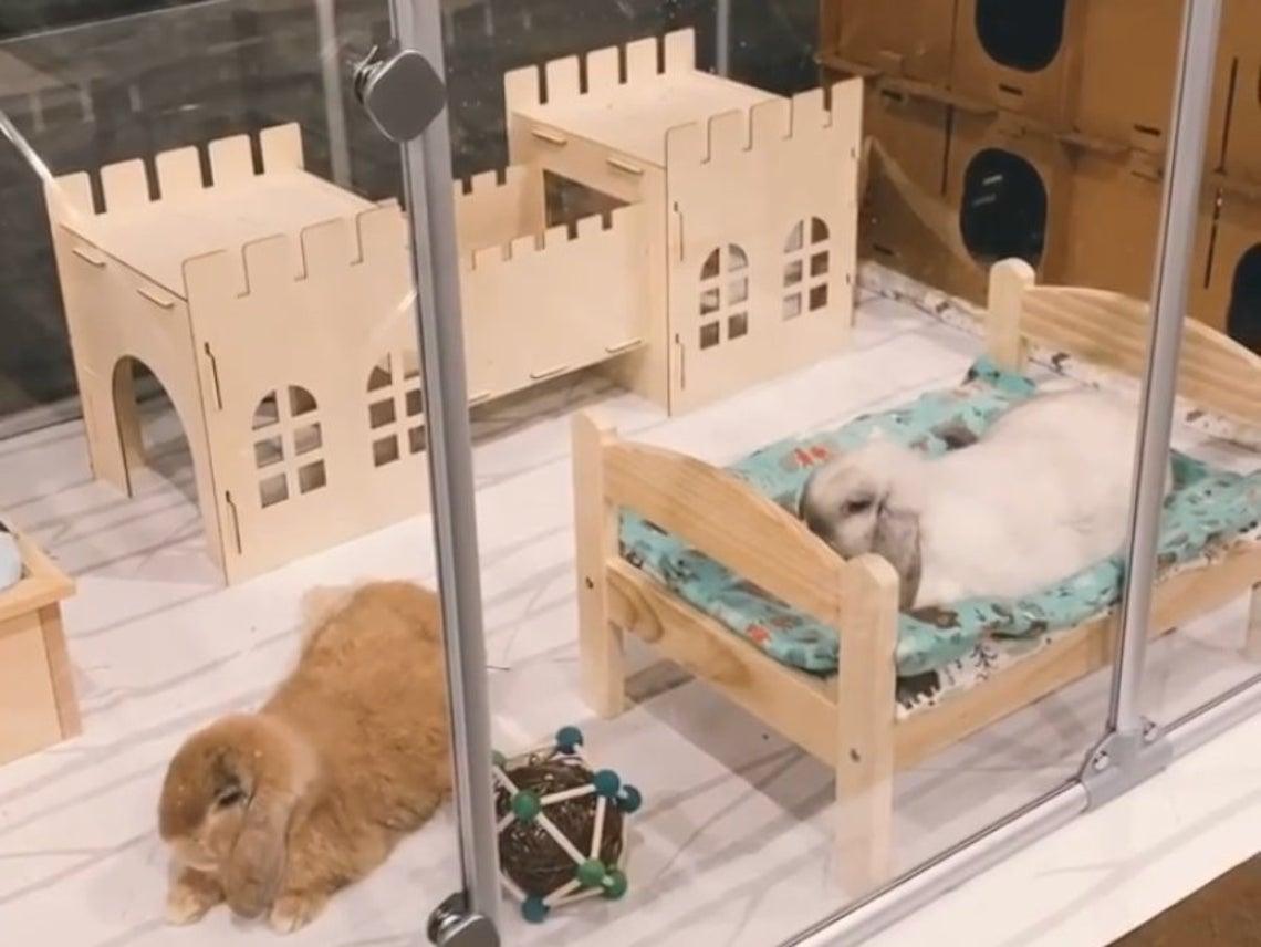 Premium Eco-Friendly Rabbit Castle: Assembled Detachable Wooden House For Rabbits And Guinea Pigs