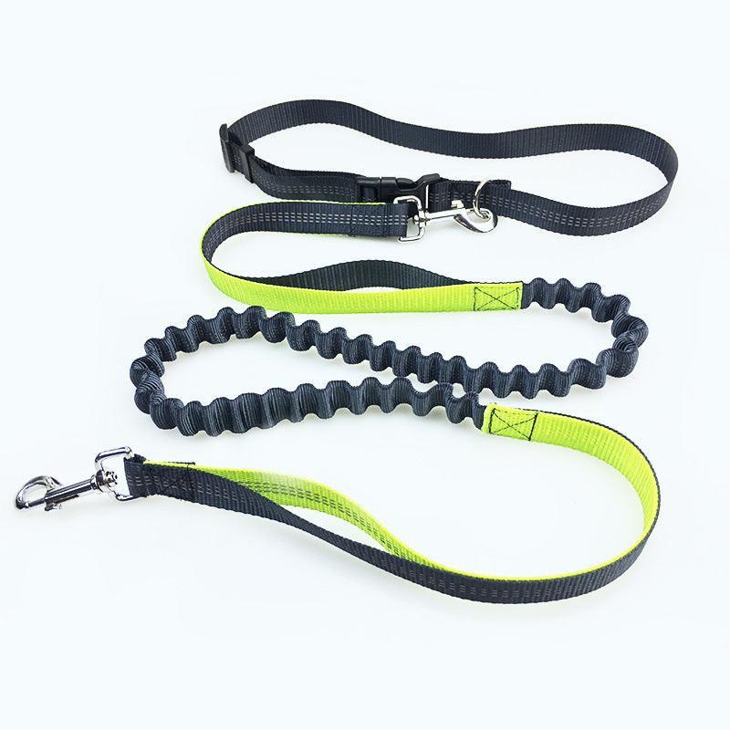 Ultimate Freedom Dog Leash: The Perfect Companion For Active Dogs - Pets Perfect