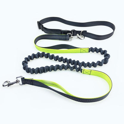 Ultimate Freedom Dog Leash: The Perfect Companion For Active Dogs - Pets Perfect