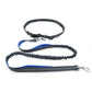 Ultimate Freedom Dog Leash: The Perfect Companion For Active Dogs - Pets Perfect