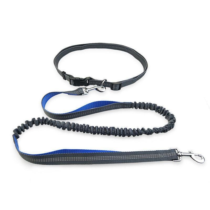 Ultimate Freedom Dog Leash: The Perfect Companion For Active Dogs - Pets Perfect