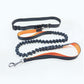 Ultimate Freedom Dog Leash: The Perfect Companion For Active Dogs - Pets Perfect