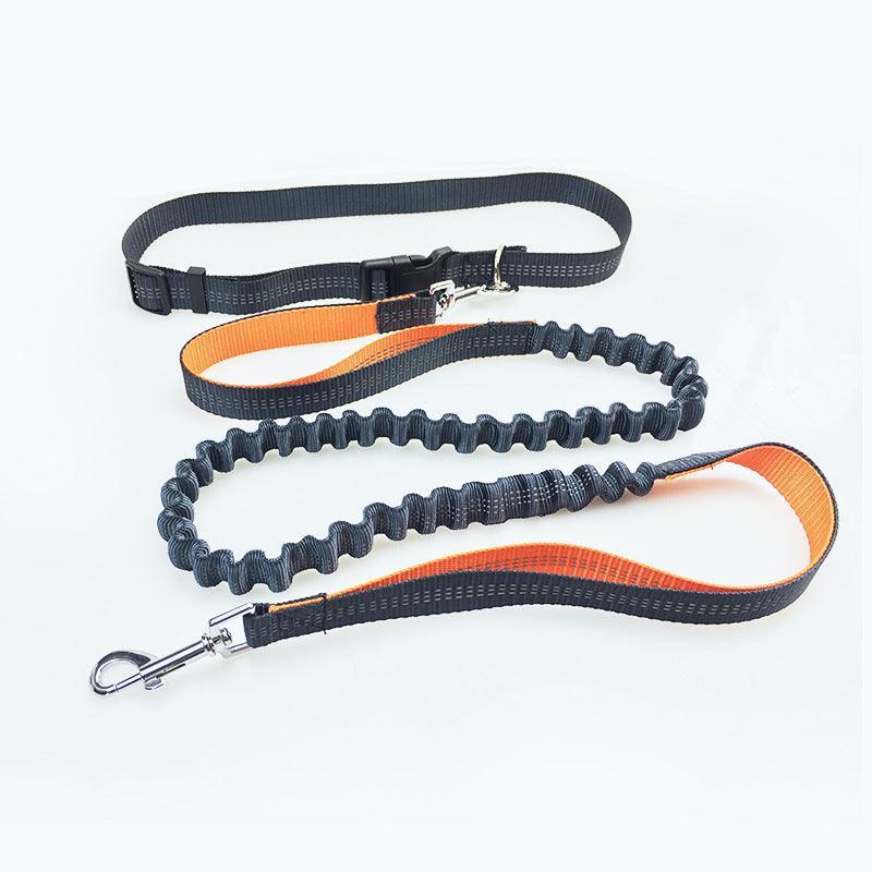Ultimate Freedom Dog Leash: The Perfect Companion For Active Dogs - Pets Perfect