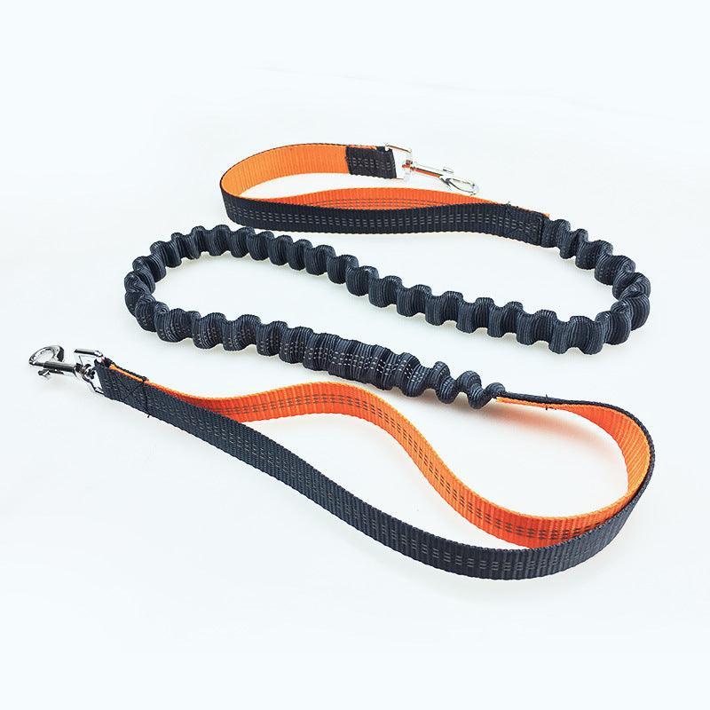 Ultimate Freedom Dog Leash: The Perfect Companion For Active Dogs - Pets Perfect
