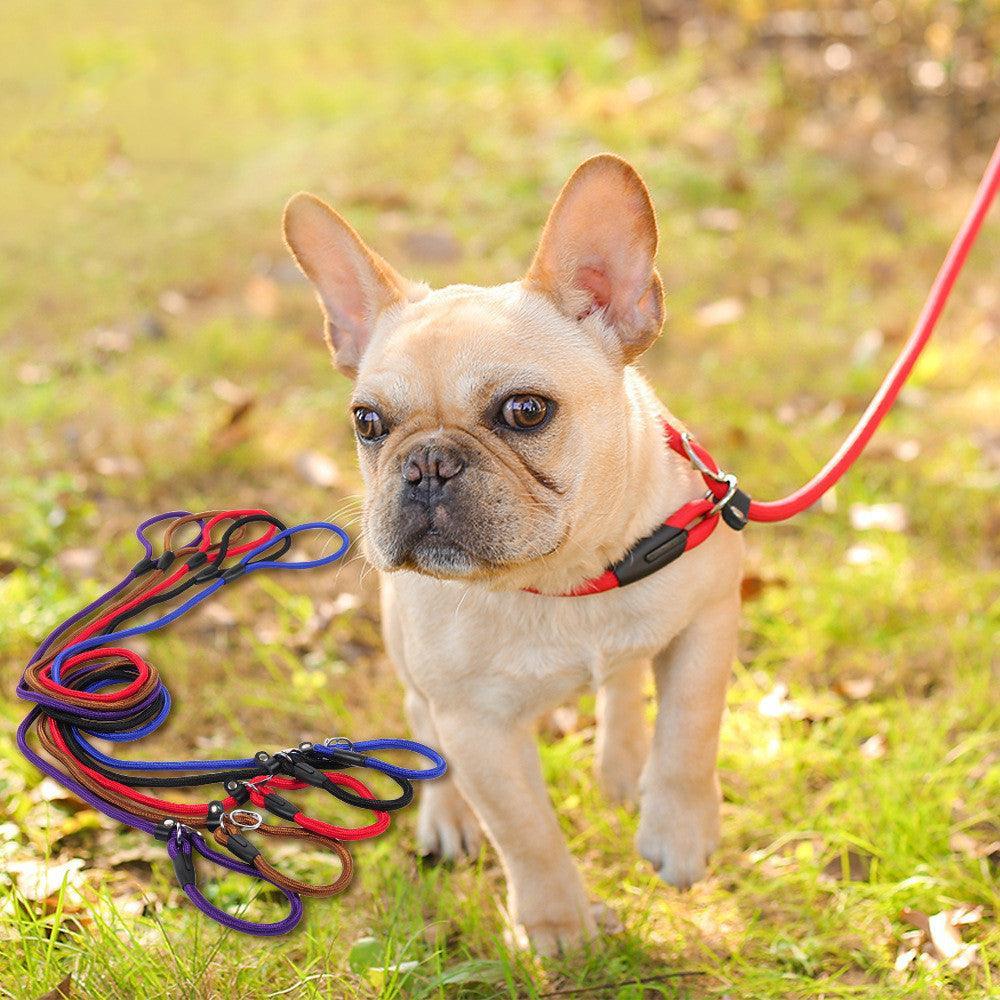 Ultimate Control Dog Leash - Pets Perfect