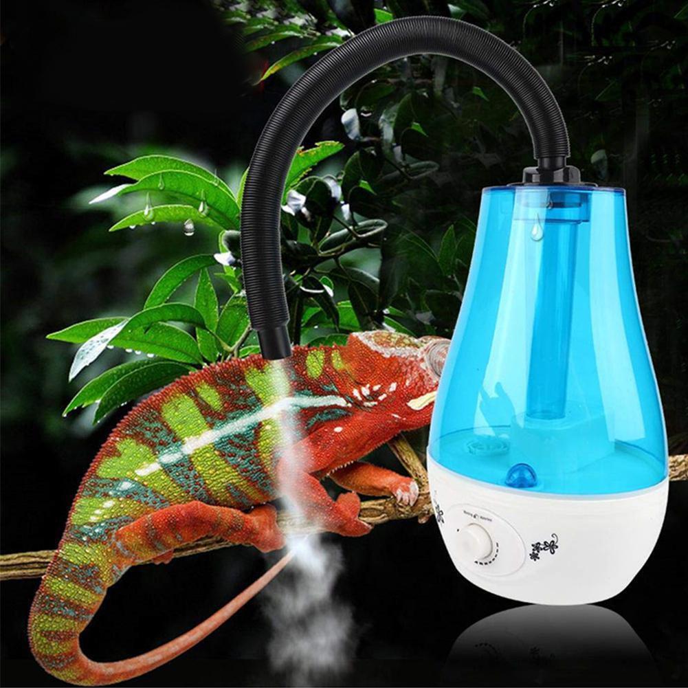 Simple Reptile Oasis: The Ultimate Household Humidifier For Your Pet - Pets Perfect