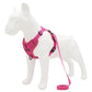 Reflective Adventure Dog Harness - Pets Perfect
