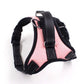 Pawsome Reflective Dog Harness: Comfortable, Adjustable, And Stylish - Pets Perfect