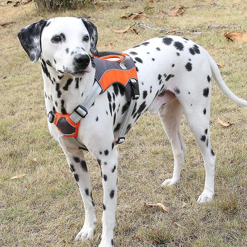 Reflective Chest Strap Dog Leash Set With Towing Rope - Pets Perfect