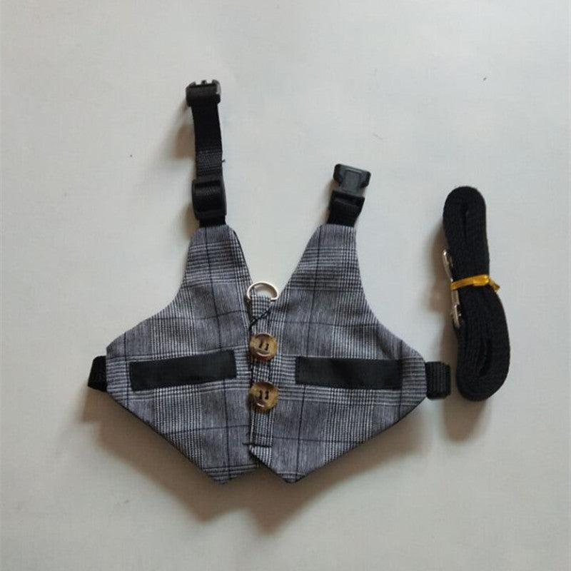 Rabbit Harness & Leash Chest Strap for Safe Walks - Pets Perfect