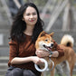 Innovative Flexigrip Dog Walking Leash With Led Lighting And Wearable Bracelet - Pets Perfect