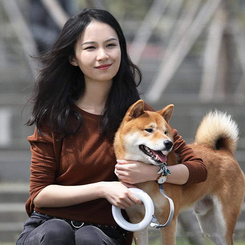 Innovative Flexigrip Dog Walking Leash With Led Lighting And Wearable Bracelet - Pets Perfect