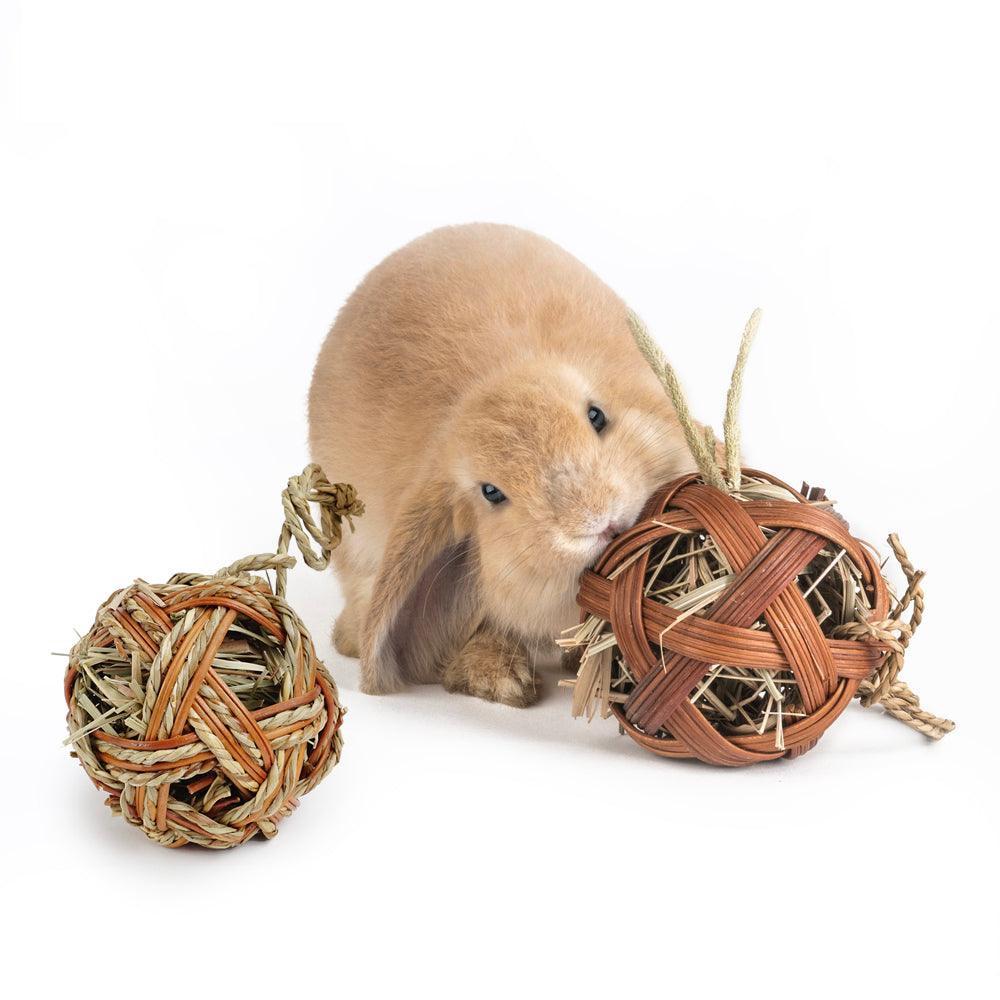 Natural Straw Hanging Chew Toy for Small Pets - Pets Perfect