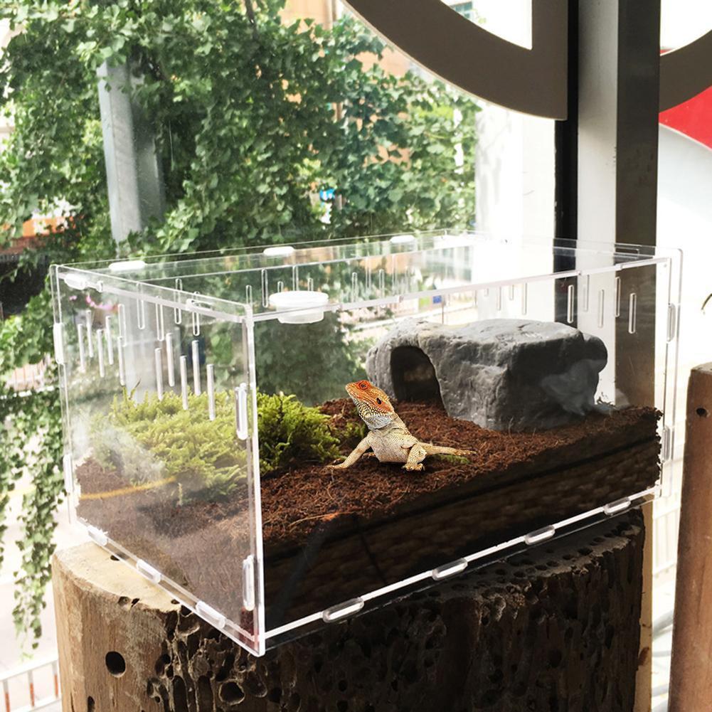 Reptile Haven: Crystal Clear Breeding Box For Your Beloved Pets - Pets Perfect