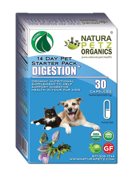 Digestion Starter Packs For Dogs And Cats * - Pets Perfect
