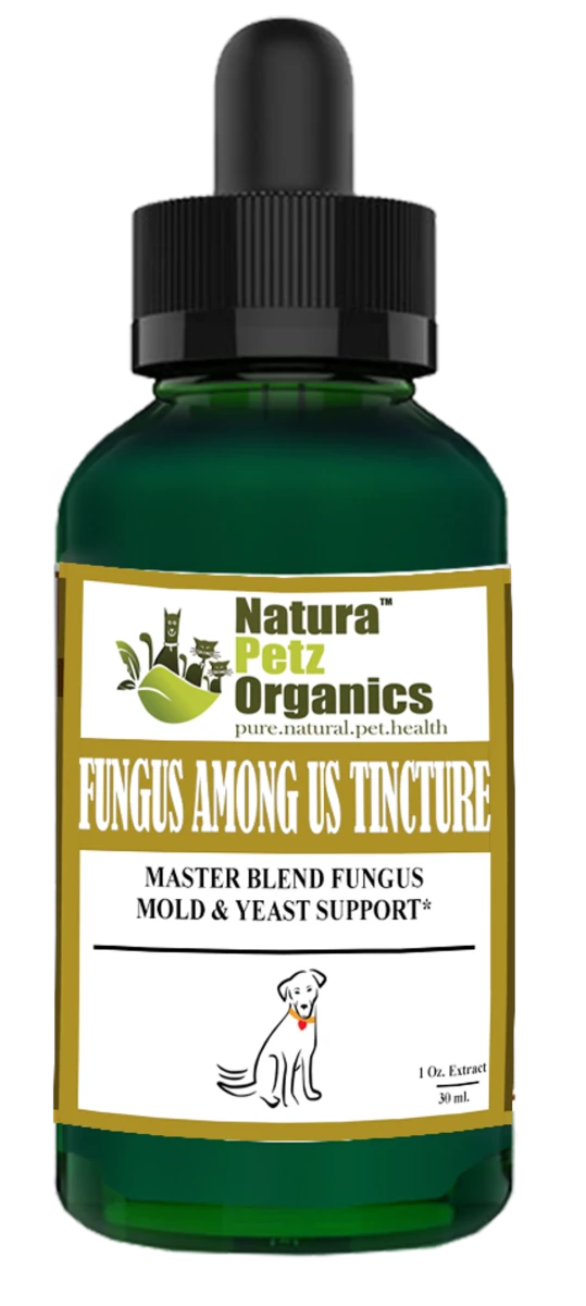 Fungus Among Us Tincture*, Master Blend Fungus, 1 OZ/1