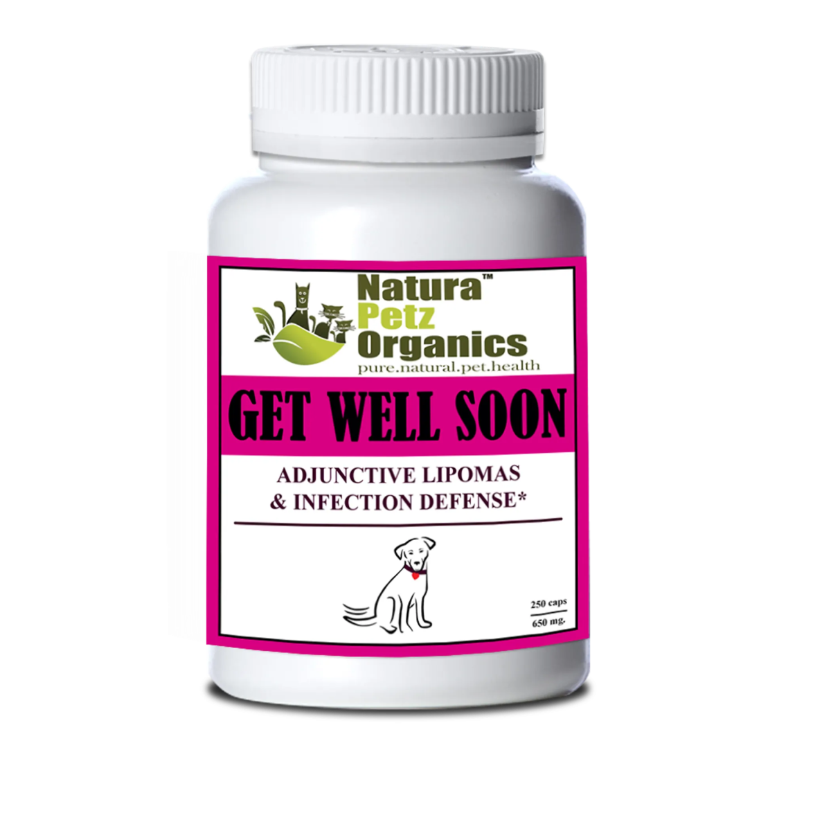 Get Well Soon - Adjunctive Lipoma + Infection Defense* - Pets Perfect