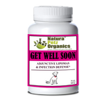 Get Well Soon - Adjunctive Lipoma + Infection Defense* - Pets Perfect