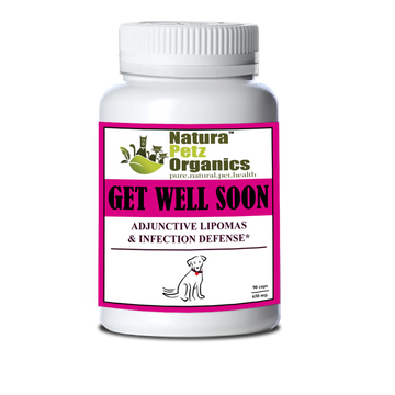 Get Well Soon - Adjunctive Lipoma + Infection Defense*